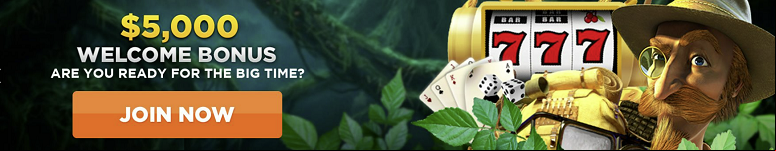 Wild Casino AG Bonus