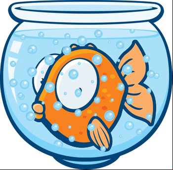 Fishy Cash Games Sites Guide
