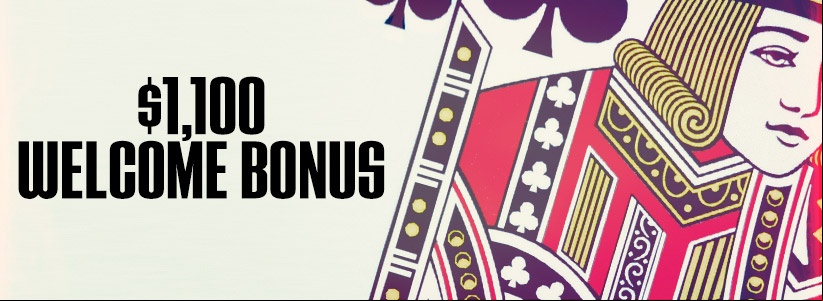 2024 Ignition Poker Site Review