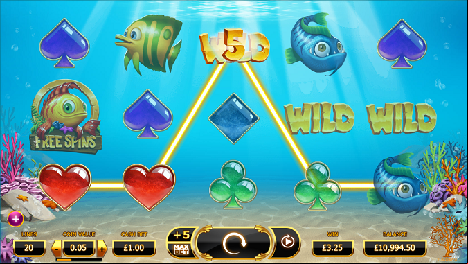 Golden Fish Tank Reels